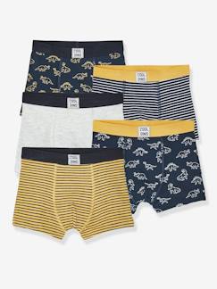 Set van 5 stretch jongensboxers Dino - vertbaudet enfant -Set van 5 stretch jongensboxers Dino