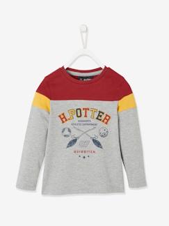 Harry Potter® T-shirt met lange mouwen voor jongens - vertbaudet enfant -Harry Potter® T-shirt met lange mouwen voor jongens