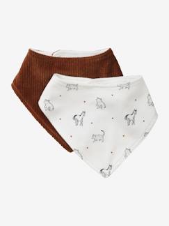 Set van 2 slabbetjes bandana Petit Nomade - vertbaudet enfant -Set van 2 slabbetjes bandana Petit Nomade