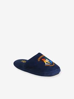 Harry Potter® slippers voor jongens - vertbaudet enfant Schoenen-Harry Potter® slippers voor jongens