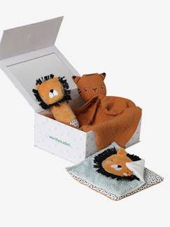 Geschenkdoos met 3 stuks: knuffeldoek + rammelaar + prentenboek - vertbaudet enfant Speelgoed-Geschenkdoos met 3 stuks: knuffeldoek + rammelaar + prentenboek