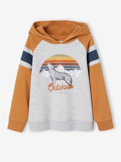 Jongenssweater met capuchon, grafisch motief en raglanmouwen - vertbaudet enfant Jongens-Trui, vest, sweater-Sweater-Jongenssweater met capuchon, grafisch motief en raglanmouwen
