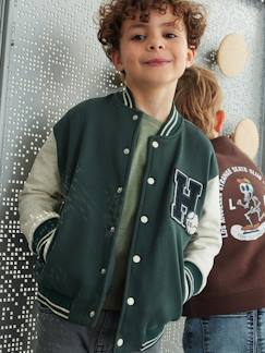 Teddy-sweatshirt in fleece voor jongens met lusbadge. - vertbaudet enfant Jongens-Trui, vest, sweater-Sweater-Teddy-sweatshirt in fleece voor jongens met lusbadge.