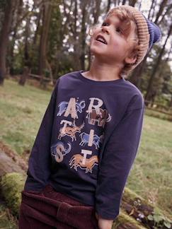 T-shirt jongens met préhisto-kunstenaarthema en geborduurde details - vertbaudet enfant Jongens-T-shirt, poloshirt, souspull-T-shirt-T-shirt jongens met préhisto-kunstenaarthema en geborduurde details