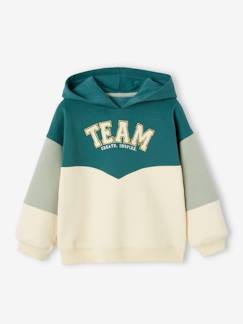Sporthoodie met colorblockeffect voor meiden - vertbaudet enfant -Sporthoodie met colorblockeffect voor meiden