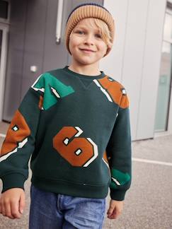 Sweatshirt voor jongens met ronde hals en maxi motiefjes - vertbaudet enfant Jongens-Trui, vest, sweater-Sweater-Sweatshirt voor jongens met ronde hals en maxi motiefjes