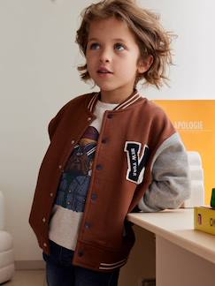 Teddy-sweatshirt in fleece voor jongens met lusbadge. - vertbaudet enfant Jongens-Teddy-sweatshirt in fleece voor jongens met lusbadge.