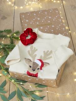 Kerstcadeauverpakking "Renne" jacquard trui + 2 scrunchies voor meisjes - vertbaudet enfant Meisje-Trui, vest, sweater-Trui-Kerstcadeauverpakking "Renne" jacquard trui + 2 scrunchies voor meisjes