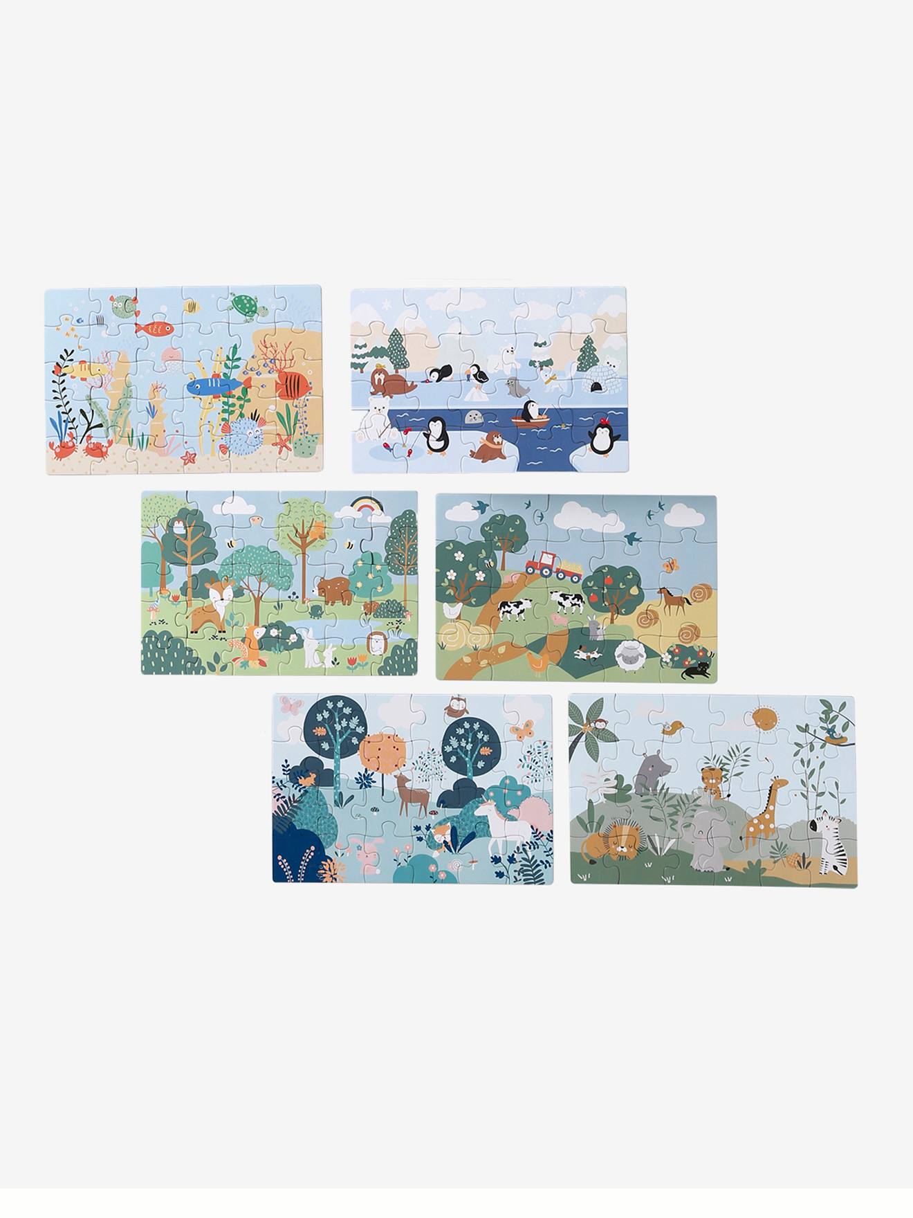 Koffer met 6 magnetische puzzels meerkleurig