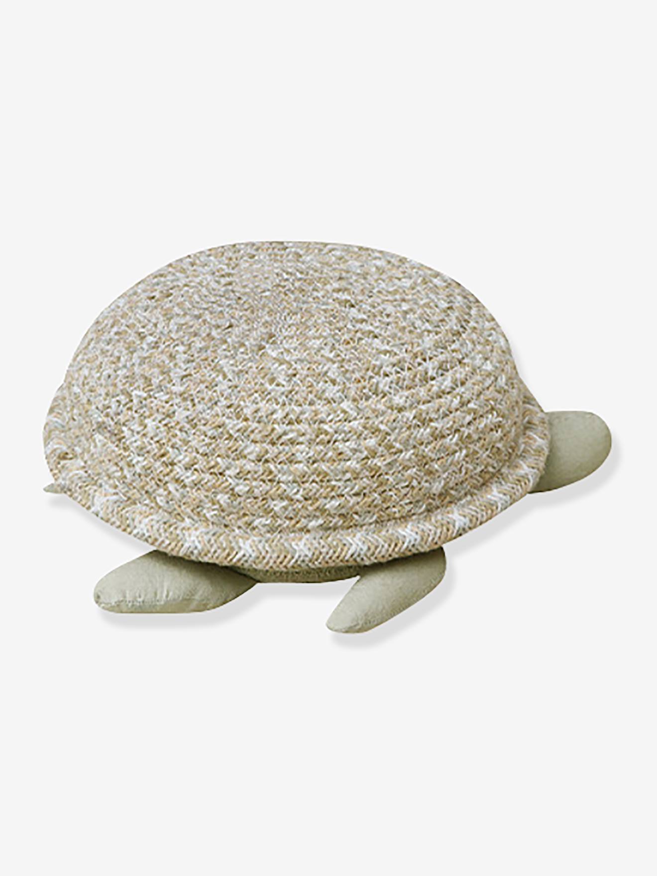 Mand babyschildpad olijf afbeelding