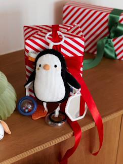 -Pluchen activiteiten om op te hangen BANQUISE