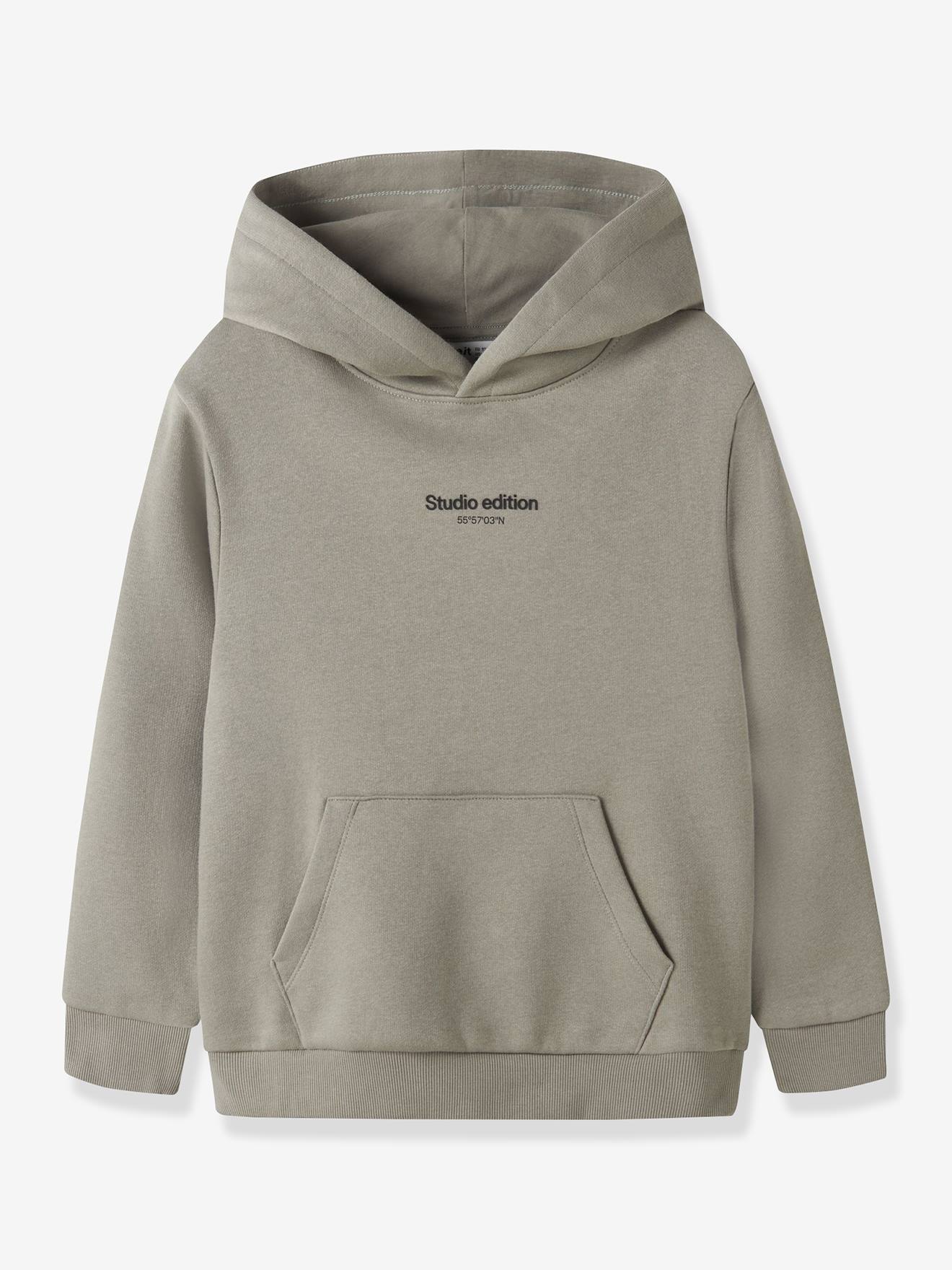 Sweater met capuchon voor jongens met mini-print NAME IT parelgrijs