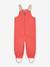 Waterdichte salopet baby MATWALENTAYA MINI A TURE donkerblauw+saliegroen+terracottategel - vertbaudet enfant 