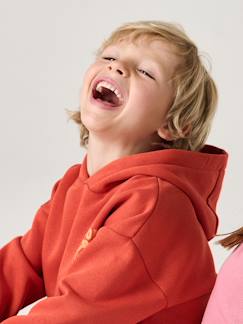 Jongens- Sweater met capuchon en motief op de borst Basics jongens