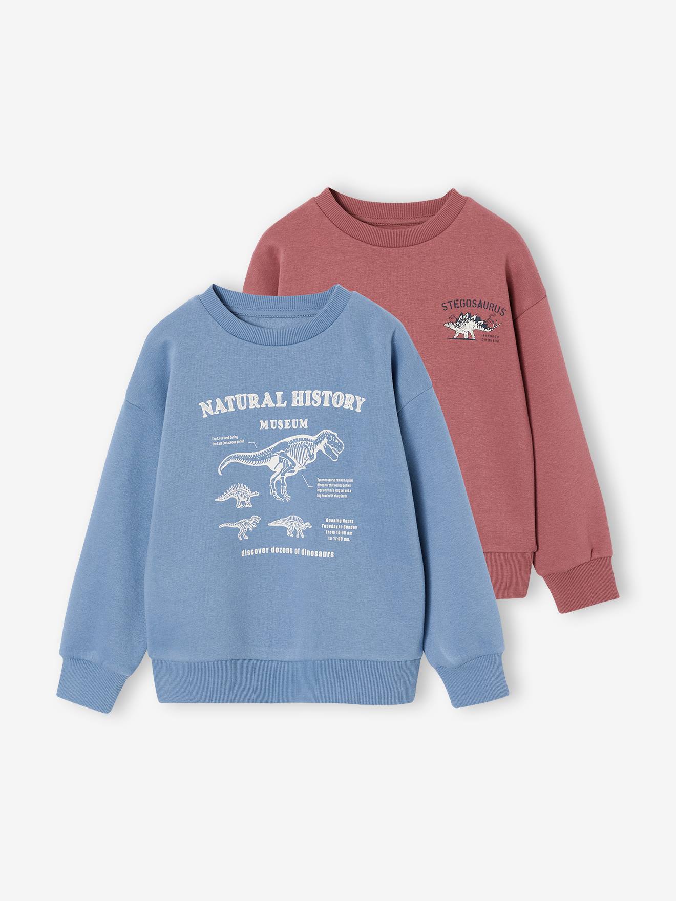 Set van 2 sweaters "Cool and Fun" terracotta