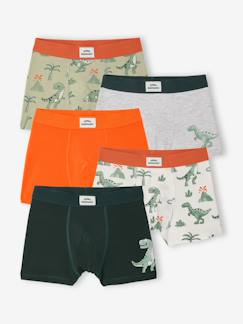 Jongens-Set van 5 boxershorts dino