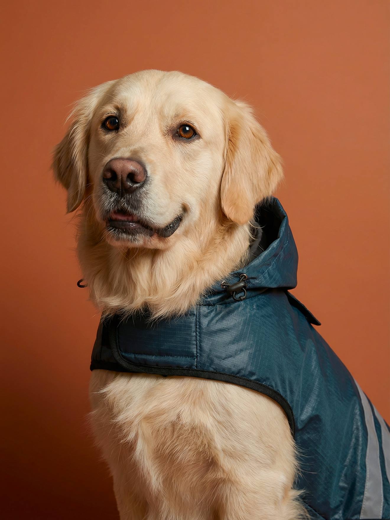 Waterdichte mantel voor honden leiblauw