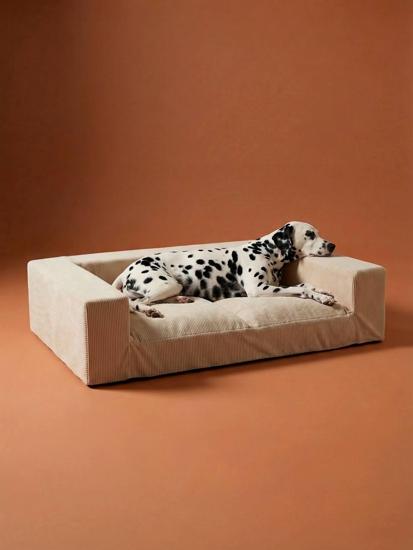 XL Sofa hond fluweel / velours ecru