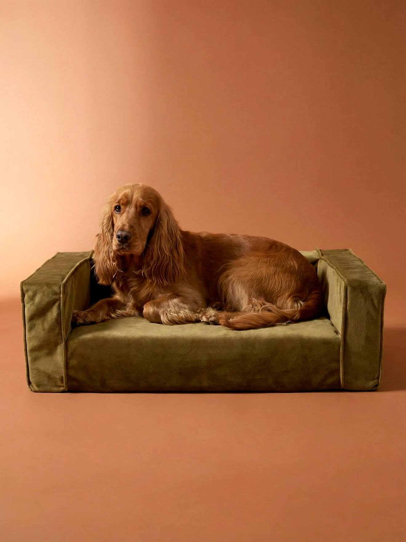 Middelgrote fluweel / velours hondensofa brons