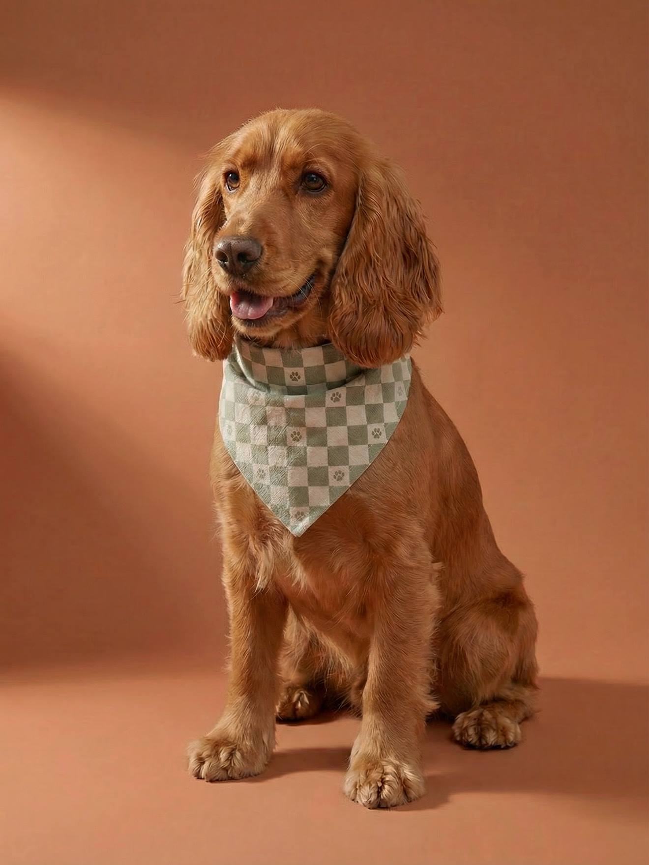 Bandanaslabbetje hond katoen wit, bedrukt