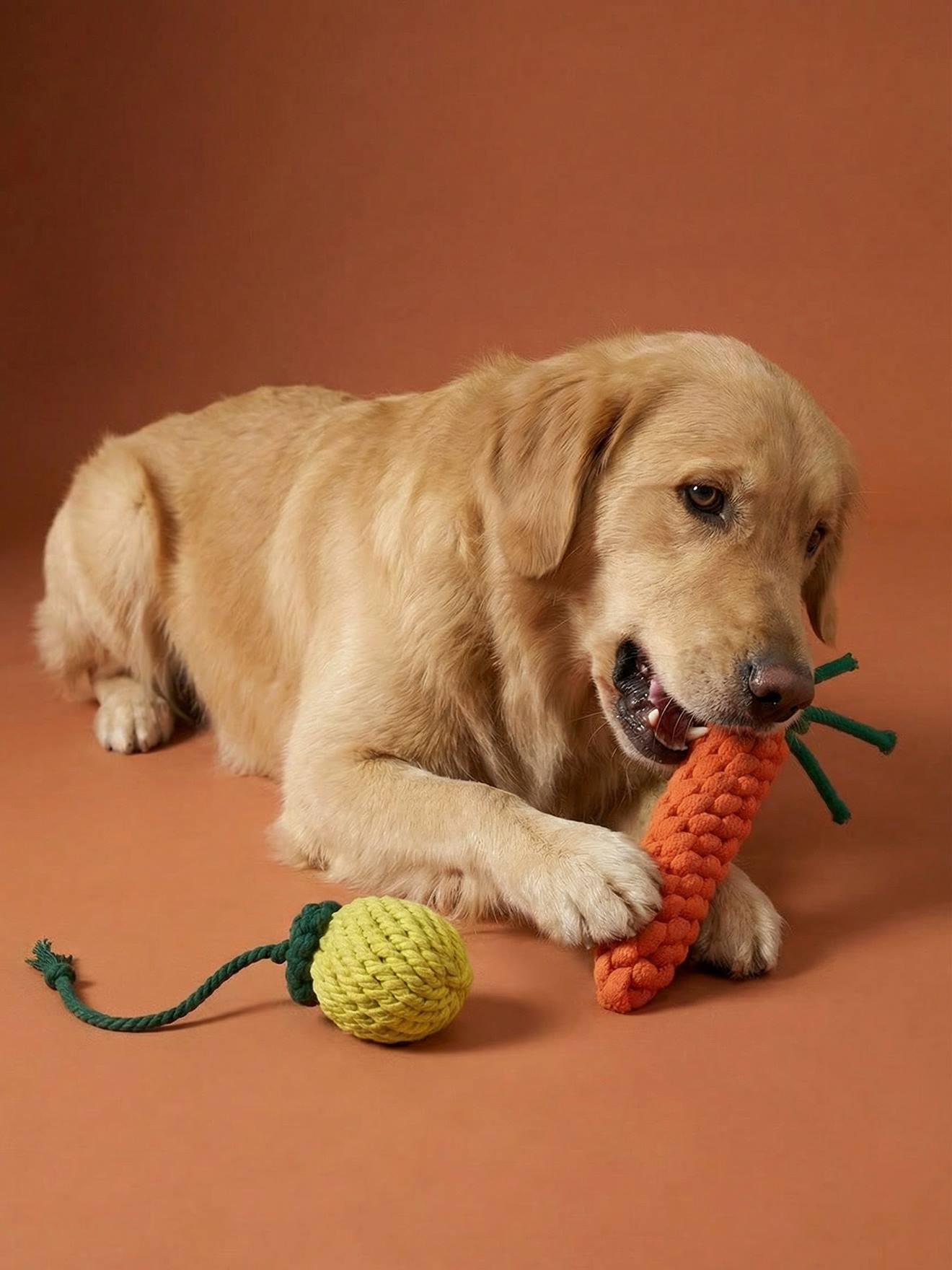 Set van 2 touwspeelgoed voor honden met fruit geel