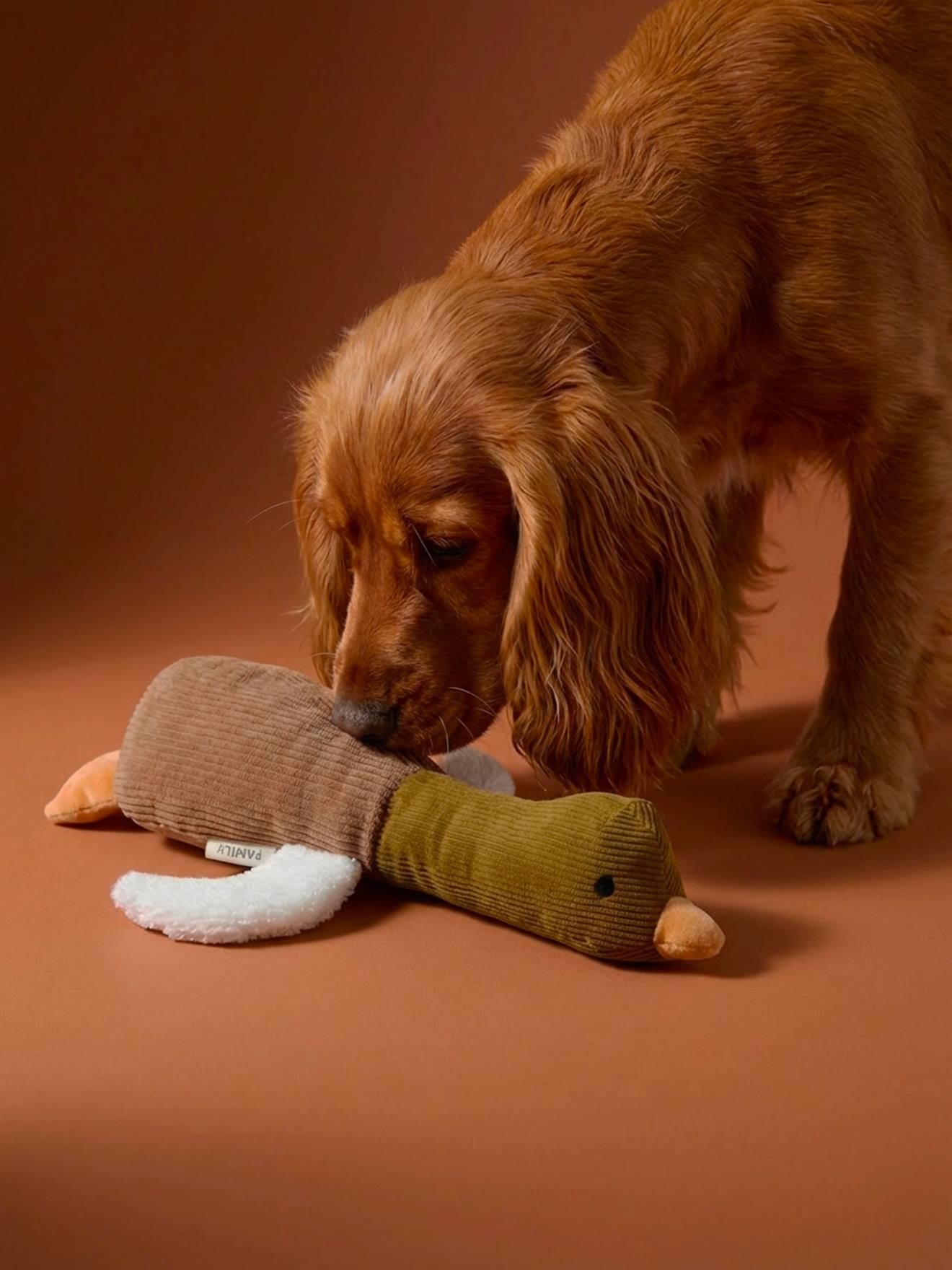 Speelgoed hond multi texture eend hazelnoot