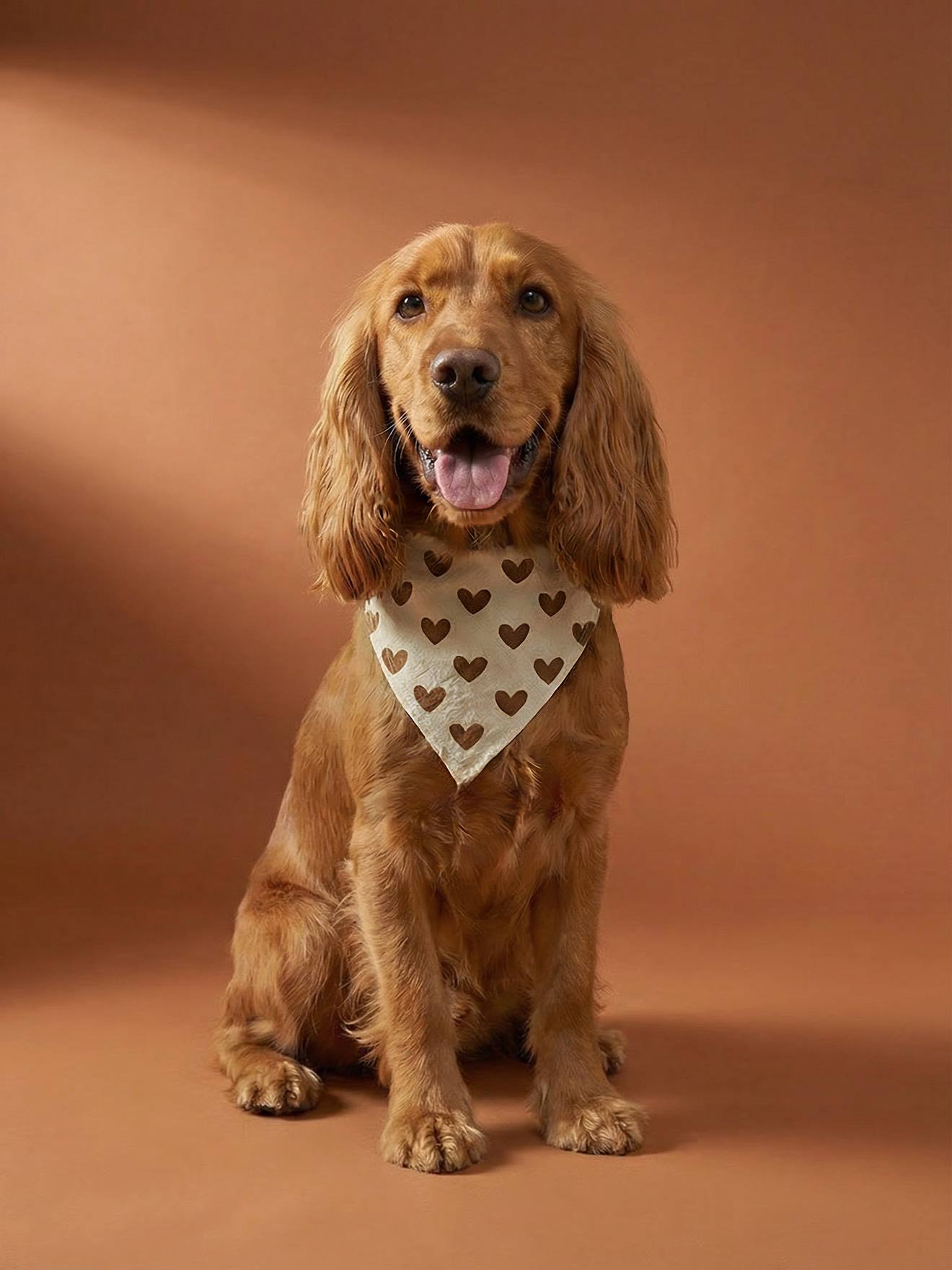 Bandanaslabbetje hond katoen bruin, bedrukt