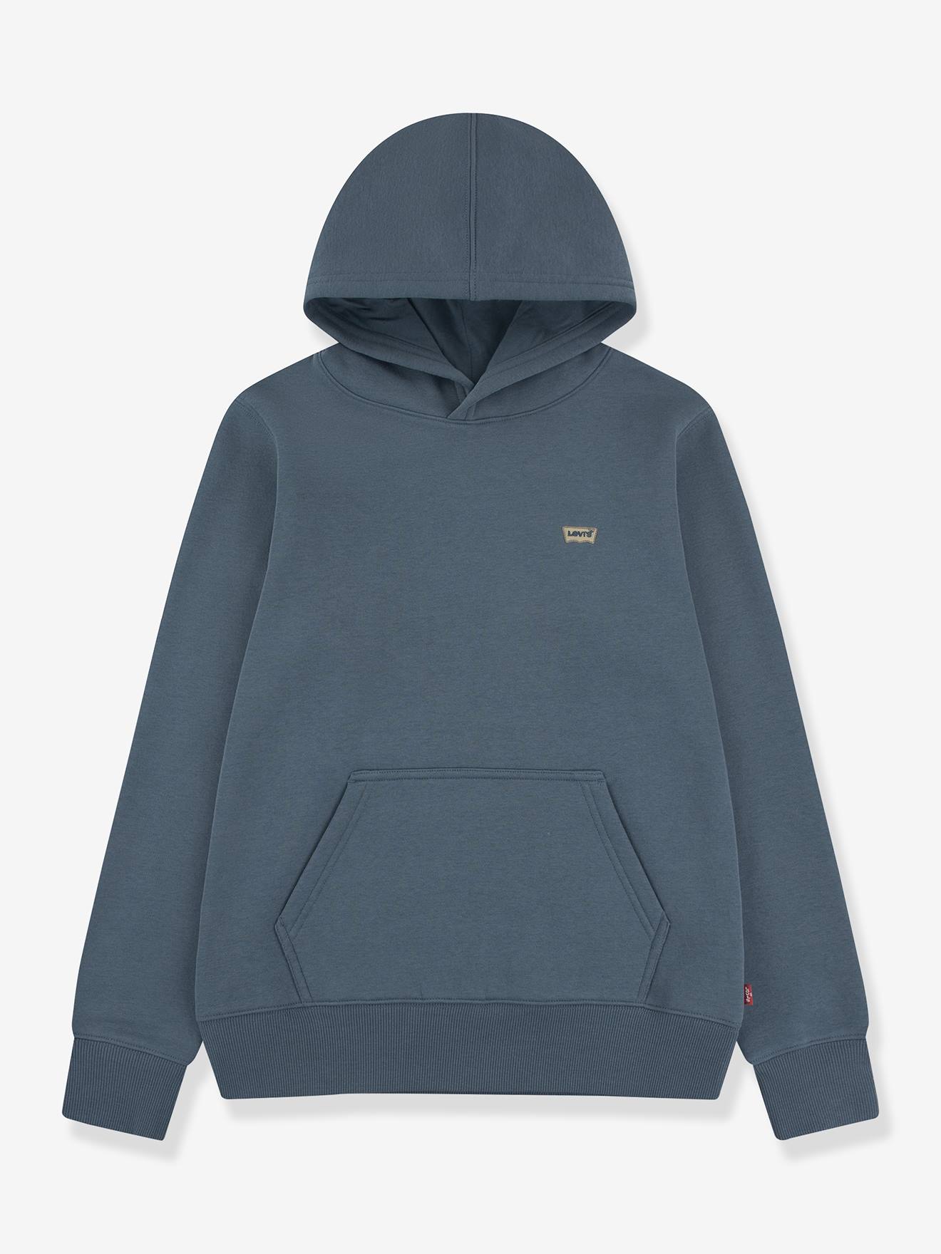 Sweatshirt met capuchon LEVI'S donkergrijs