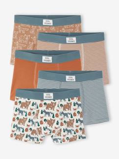Set van 5 jongensboxers  - vertbaudet enfant