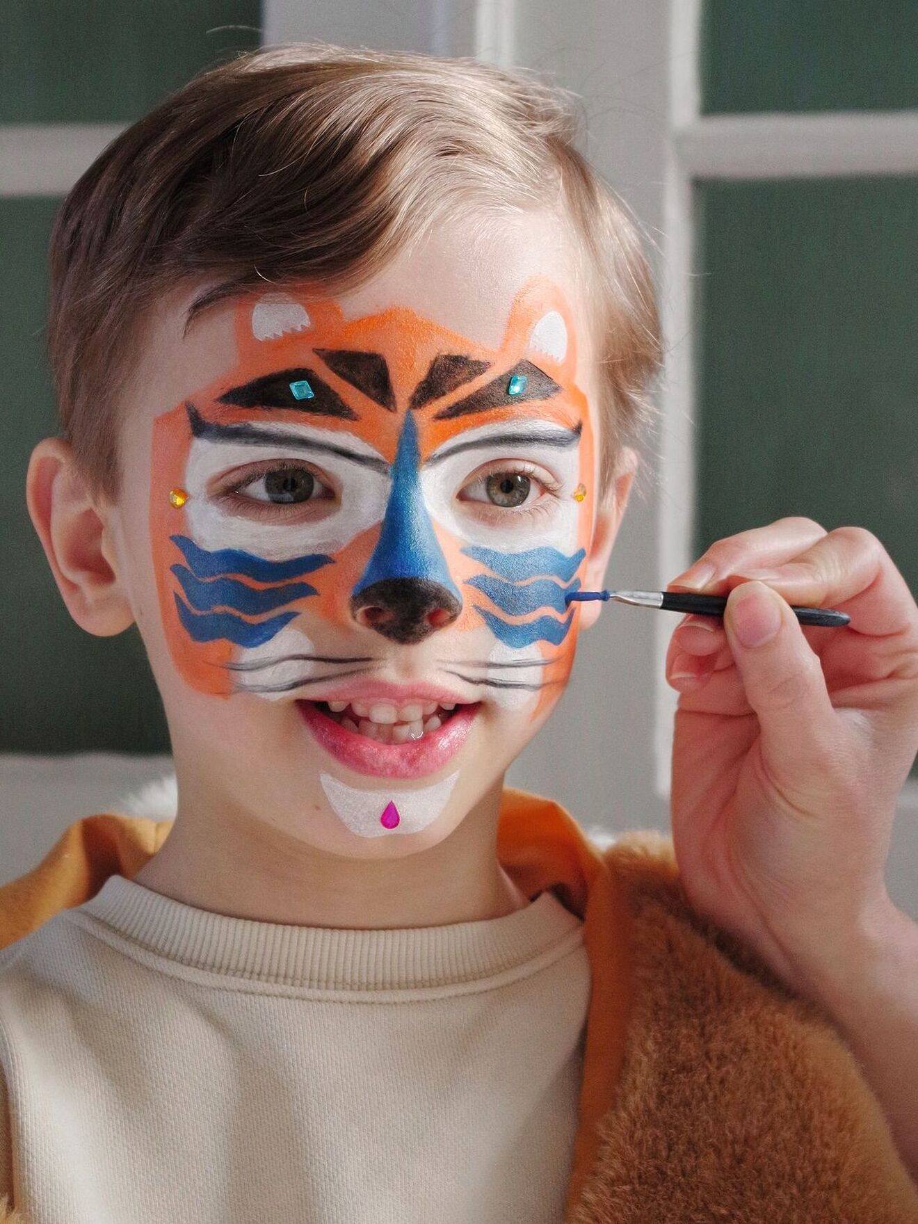 Panter schminkset DJECO meerkleurig