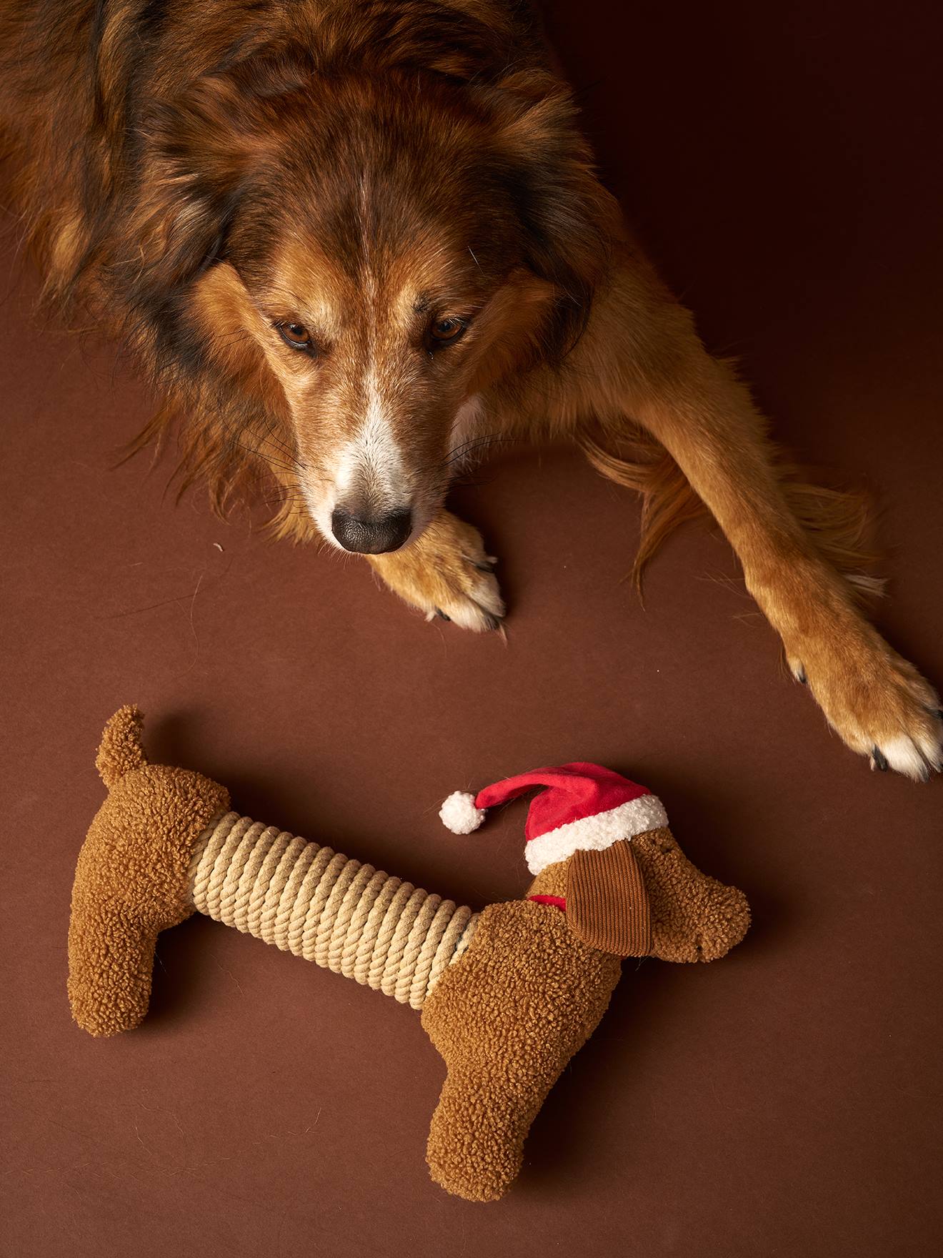 Kerstteckel hondenspeeltje chocoladebruin