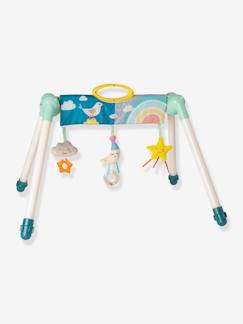 -Babygym mini-maan BUKI