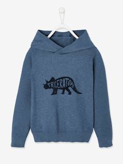 Jongens-Trui, vest, sweater-Fluwelen geblokte dinosaurus hoodie