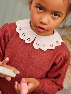 Meisje-Trui, vest, sweater-Meisjestrui met kraag van Engels borduursel