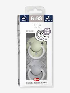 Verzorging-Set van 2 BIBS De Lux siliconen spenen