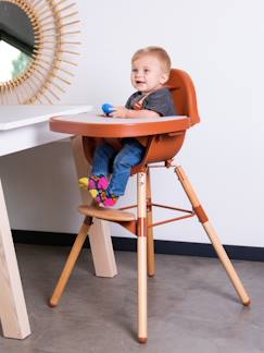 Verzorging-Kinderstoel-Kinderstoel Evolu 2 + beugel CHILDHOME