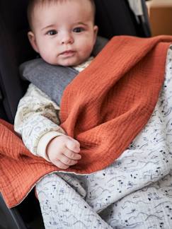 Verzorging-Voetenzakken, dekentjes-Dubbelzijdige deken voor kinderwagen Hanoï