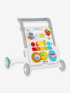Speelgoed-Eerste levensjaren-Schommelspeelgoed, loopwagens, loopstoelen en loopauto's-Explore & More 4-in-1 Activiteitenwagen - SKIP HOP