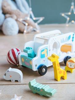 Speelgoed-Eerste levensjaren-Eerste speelgoed-Jungle vrachtwagen om in elkaar te zetten