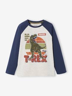 Jongens-Oeko-Tex® grafisch jongens-T-shirt met raglanmouwen