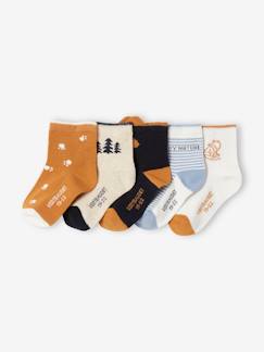 Baby-Sokken, kousen-Set van 5 paar sokken natuur jongens