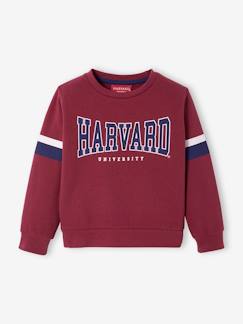 Jongens-Trui, vest, sweater-Harvard® jongenssweatshirt