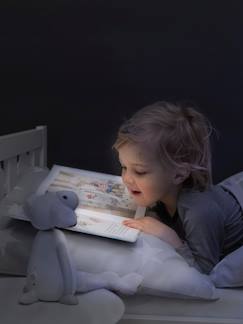 Speelgoed-Educatief speelgoed-Lezen, schrijven, rekenen en klokkijken-Fin het schaap-nachtlampje en leesspeeltje ZAZU