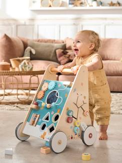 Speelgoed-Eerste levensjaren-Loopwagen met houten remmen