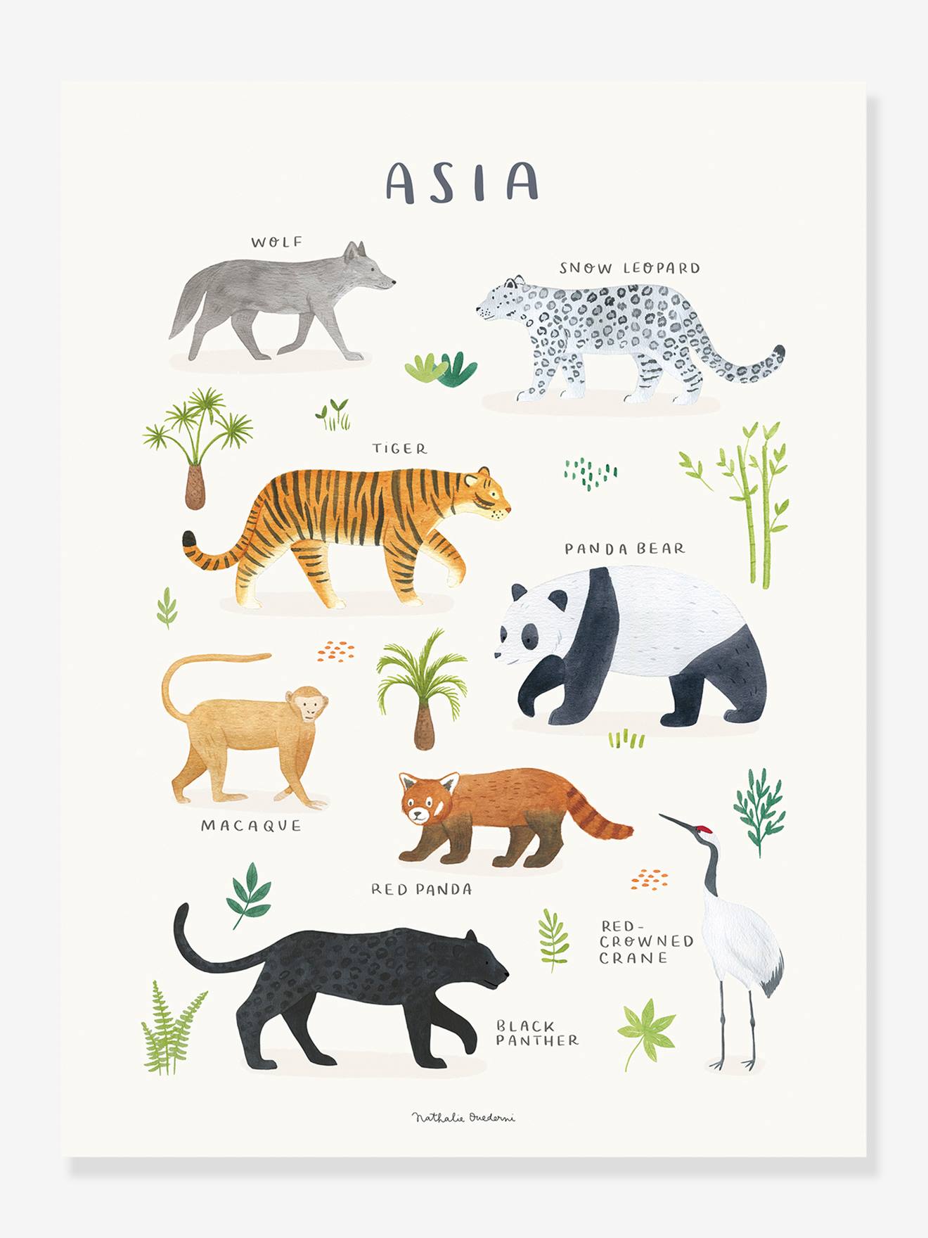 Poster Aziatische dieren Lilydale LILIPINSO grijs