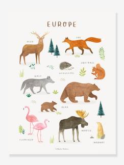 -Poster dieren van Europa Lilydale LILIPINSO