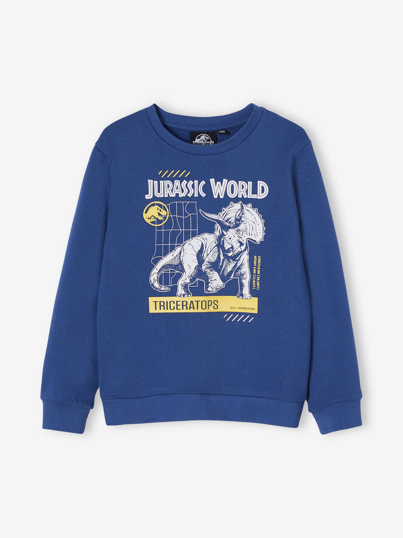 Jongenssweater Jurassic World¨ leiblauw