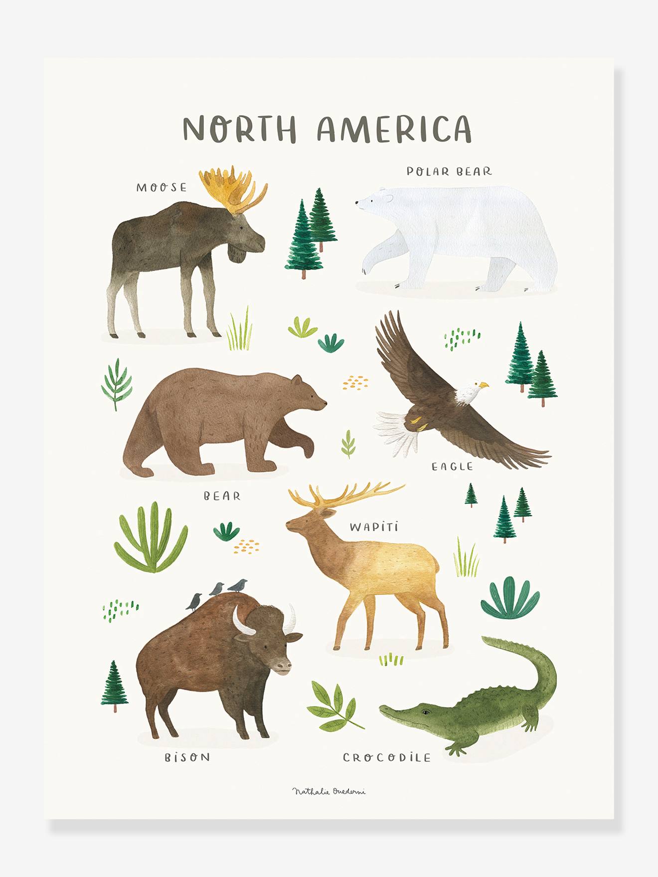 Poster Noord-Europese dieren Lilydale LILIPINSO bruin