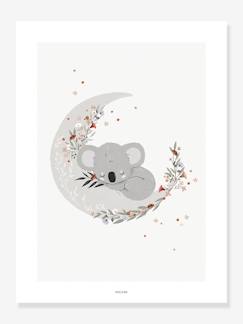 -Poster Koala Lilydale LILIPINSO