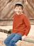 Gewatteerd jongenssweater terracotta - vertbaudet enfant 